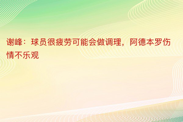 谢峰：球员很疲劳可能会做调理，阿德本罗伤情不乐观