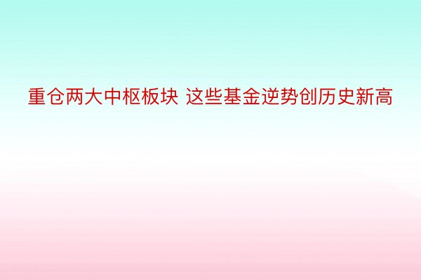 重仓两大中枢板块 这些基金逆势创历史新高