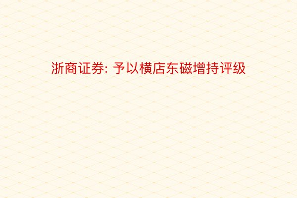 浙商证券: 予以横店东磁增持评级