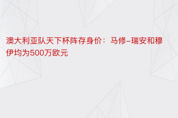 澳大利亚队天下杯阵存身价：马修-瑞安和穆伊均为500万欧元