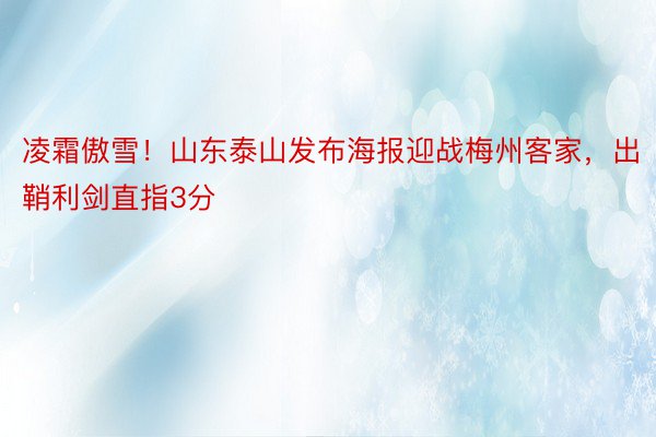 凌霜傲雪！山东泰山发布海报迎战梅州客家，出鞘利剑直指3分