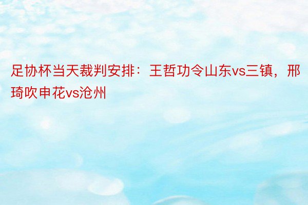 足协杯当天裁判安排：王哲功令山东vs三镇，邢琦吹申花vs沧州